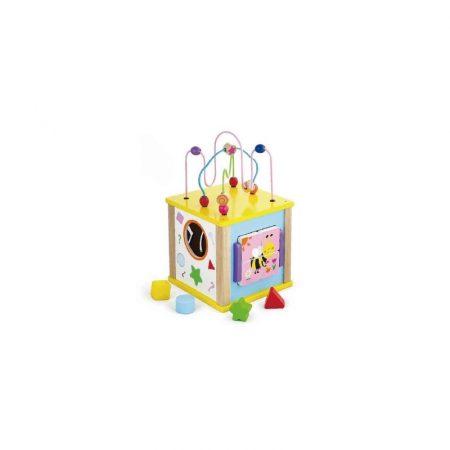 Cub educativ 5 in 1 de marime medie [1]