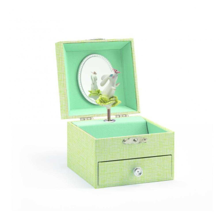 Cutie muzicala iepuras [1]