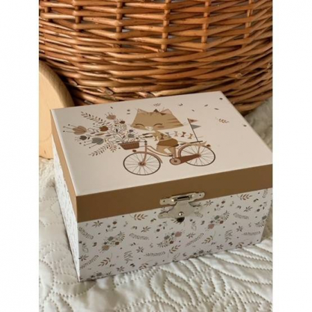 Cutie muzicala pisica pe bicicleta [1]