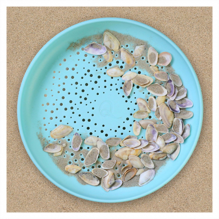 Disc frisbee si sita pentru nisip, Quut Toys [2]