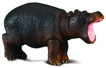 Figurina Hipopotam - Collecta [2]