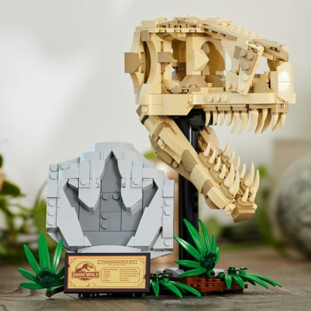  Fosile de dinozaur: craniu de T.rex [5]