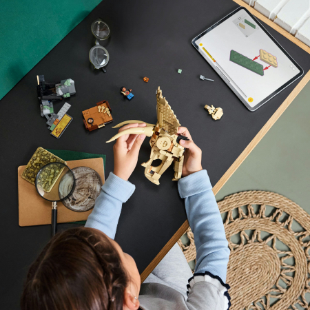  Fosile de dinozaur: craniu de Triceratops [5]