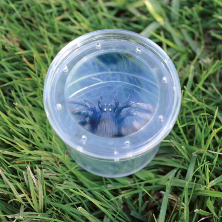 GeoSafari® Borcan pentru observarea insectelor [2]
