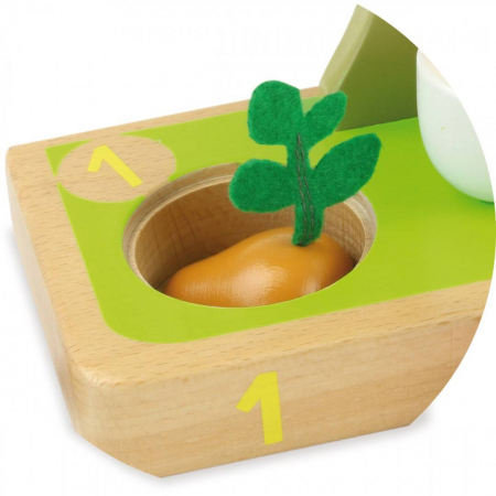 Invat sa numar legumele [2]