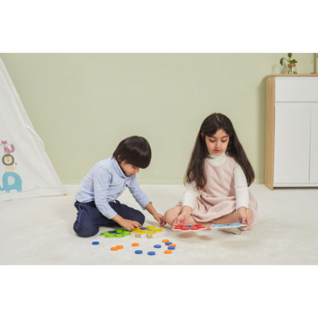 Joc de asociere a culorilor Paunul, VIGA [4]