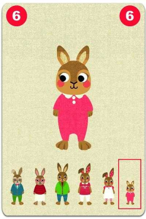 Joc de carti Djeco Familou [4]