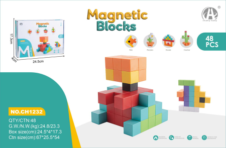 Joc de logica STEM magnetic - Modele 3D [2]