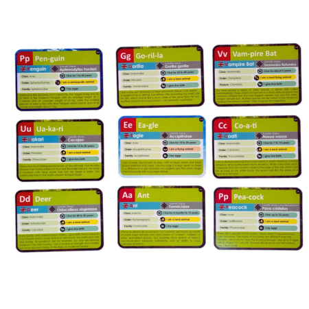 Joc lingvistic Learning Cube® - Arca lui Noe [3]