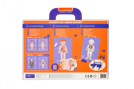 Joc magnetic educativ - Anatomia Umana [10]