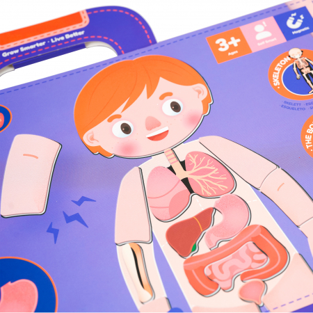 Joc magnetic educativ - Anatomia Umana [13]
