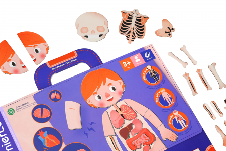 Joc magnetic educativ - Anatomia Umana [12]