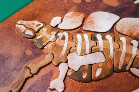 Joc magnetic educativ -Stegosaurus [4]