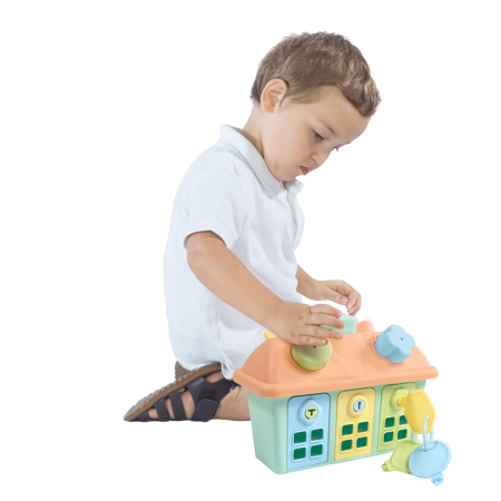 Joc sortare - Casuta pastel cu chei [1]