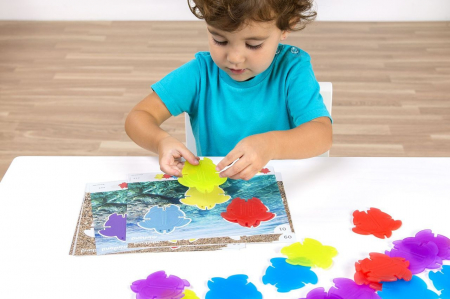 Joc Testoasele matematice translucide [1]