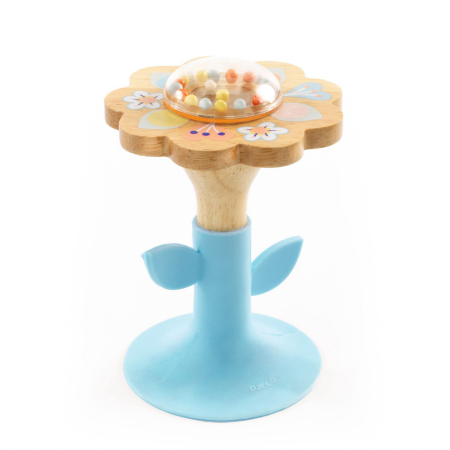 Varsta - Jucarie bebe BabySwipi, Djeco