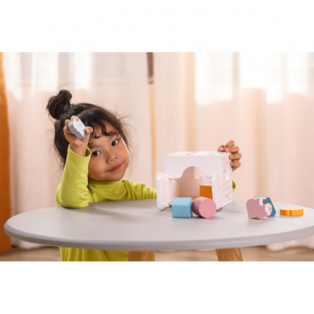 Jucarie de sortare forme si blocuri senzoriale din lemn, PolarB, Viga [2]