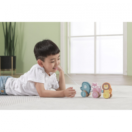 Jucarie de tras Animale din padure, PolarB, Viga [5]