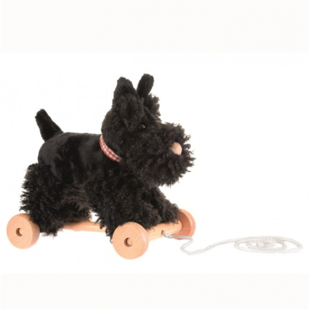 Noutati - Jucarie de tras catelul Walter, Egmont Toys