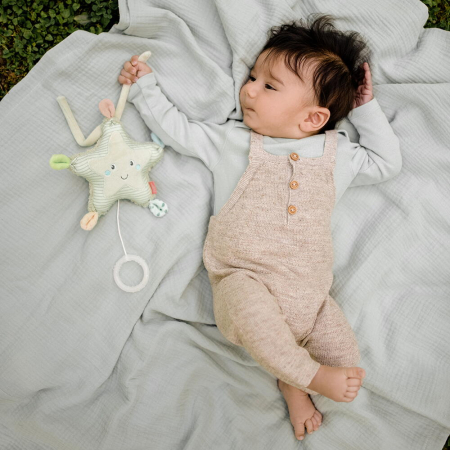 Jucarie muzicala - Steluta de mare [2]