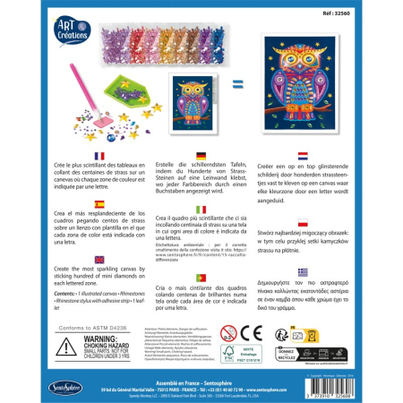 Kit creativ cu diamante / strasuri - Canvas Bufnita - Sentosphere [2]