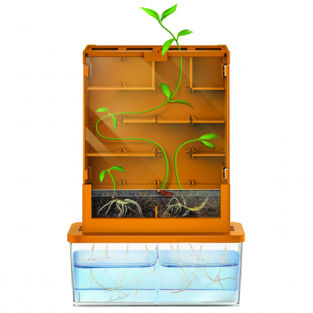 Kit stiintific - Creste un Labirint, Stiinta Verde - Green Science [1]