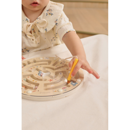 Labirint Magnetic 4 Anotimpuri, PolarB Viga [1]