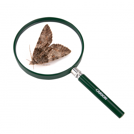 Lupa cu lentila mare si marire 2x , BigEye [2]