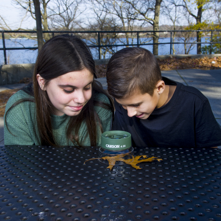 Lupa cu suport, marire 4.5x,  BugLoupe [3]