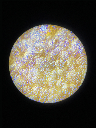 Microscop portabil cu LED si UV, cu adaptor de smartphone, marire 100-250x, MicroFlip [4]