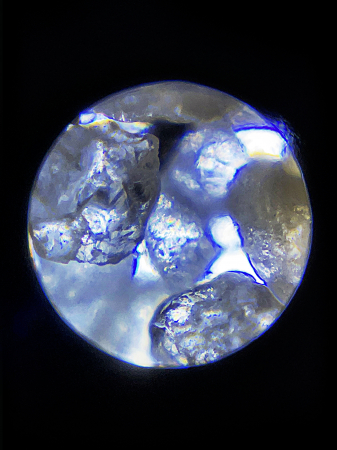 Microscop portabil cu LED si UV, cu adaptor de smartphone, marire 100-250x, MicroFlip [8]