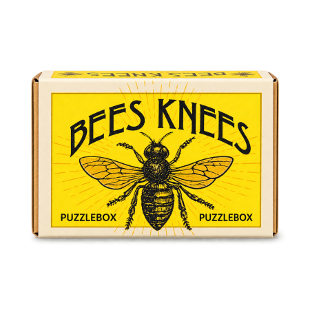 Mini joc logic IQ - Bees Knees [1]