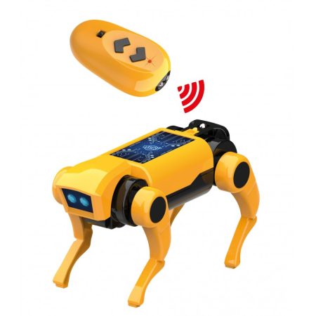 Mini Laborator-  Caine Robot RC [4]
