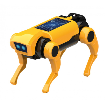 Mini Laborator-  Caine Robot RC [1]