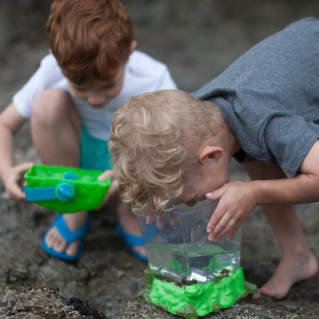 Observator insecte tip habitat - Geosafari [6]