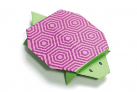 Origami - Animale de companie - nivel 1 [5]