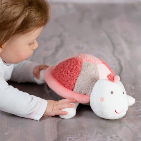 Pernuta anticolici - Broscuta testoasa [2]