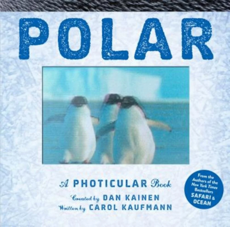 Polar: A Photicular Book, Dan Kainen [1]