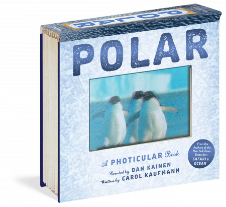 Polar: A Photicular Book, Dan Kainen [0]