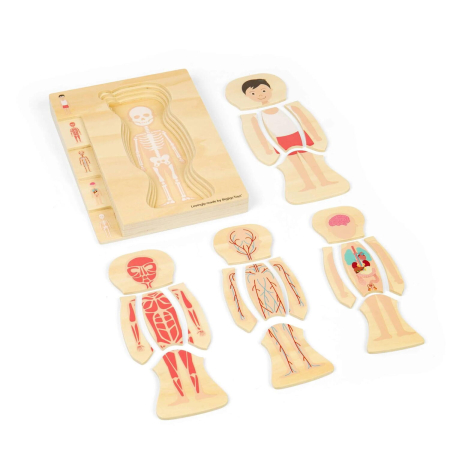Puzzle anatomic din lemn - Baiat [4]