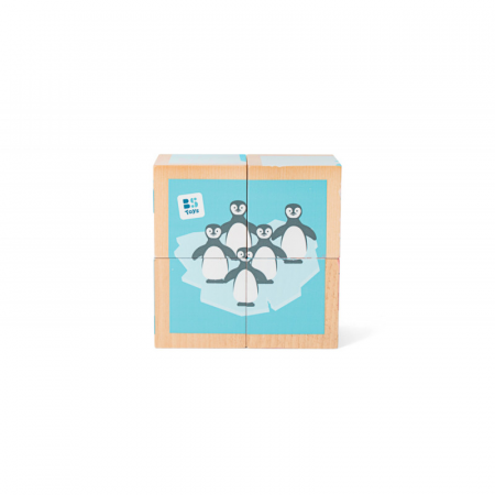 De Sters - Puzzle din cuburi, BS Toys