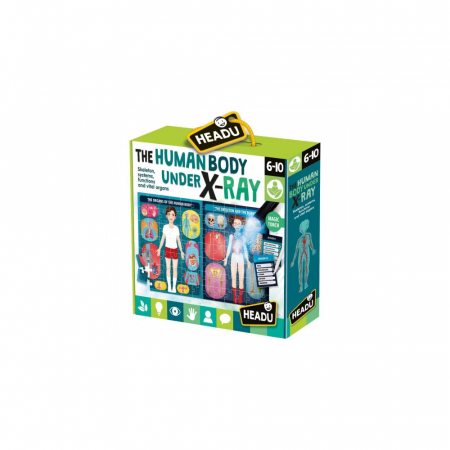 Varsta - Headu Stem - Puzzle Radiografia Corpului Uman