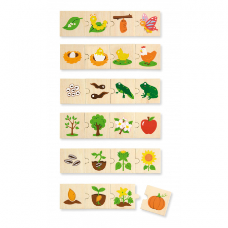 Puzzle sortator - Evolutie, Viga [2]