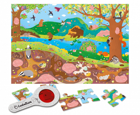 SECRET PUZZLE – Mediul Înconjurător [1]