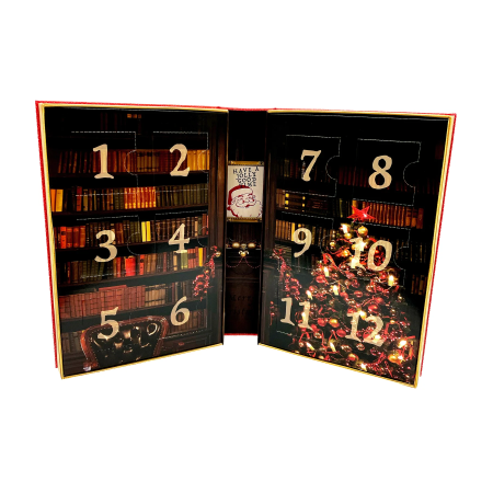 Set 12 jocuri logice IQ din metal de Craciun - 12 Puzzles Before Christmas [4]