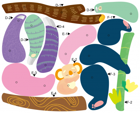 Set creativ de razuit - Animale de padure in miscare [5]