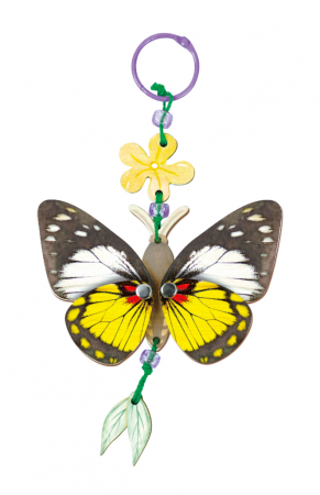 Set creativ din lemn - breloc Fluture, colectia Creatii Naturale [4]