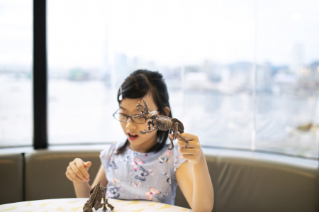 Set educativ Sapa si descopera Dinozauri - Mamut [8]