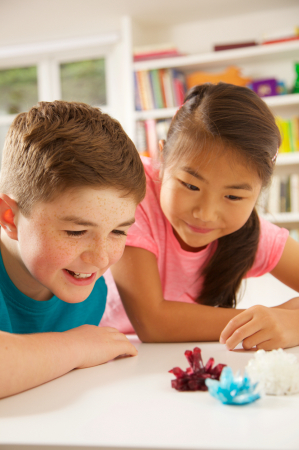 Set experimente de crescut Cristale [9]