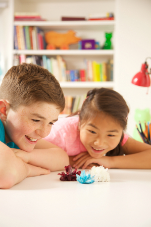 Set complet de experimente pentru crescut Cristale [8]